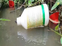 Ô nhiễm môi trường từ bao bì Chai Nhựa Thuốc Bảo Vệ Thực Vật